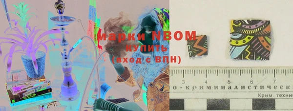 прущие грибы Пестово