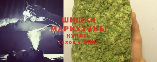 прущие грибы Пестово
