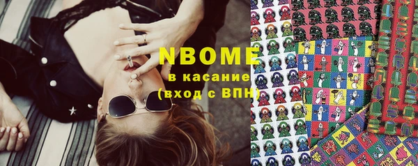 прущие грибы Пестово