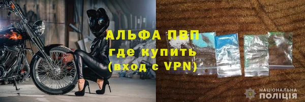 прущие грибы Пестово