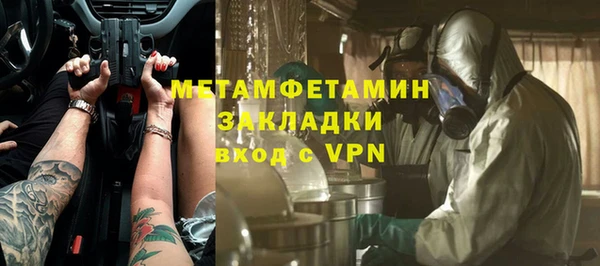 прущие грибы Пестово